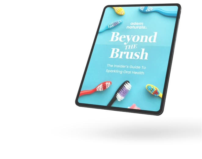 Bonus1 BeyondTheBrush ProvaDent